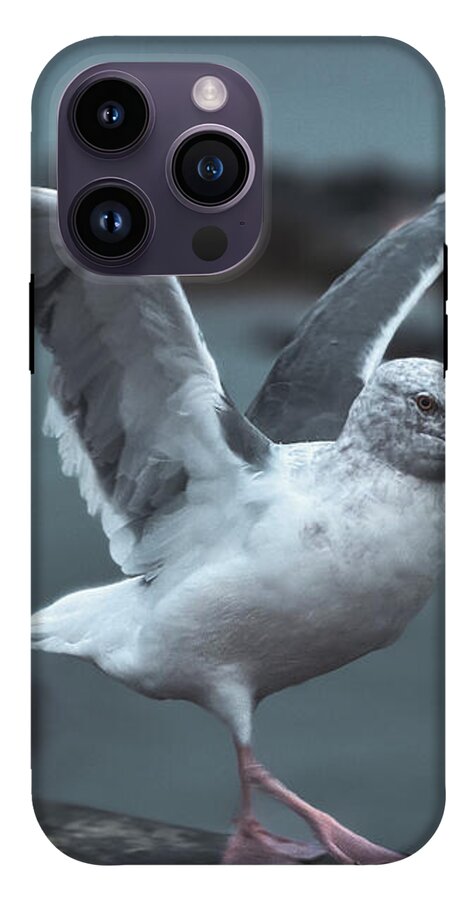 Seagull on a Seaside Rail - Phone Case
