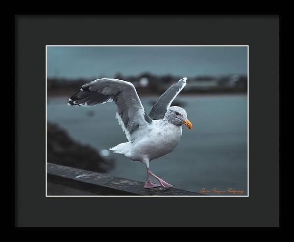 Seagull on a Seaside Rail - Framed Print