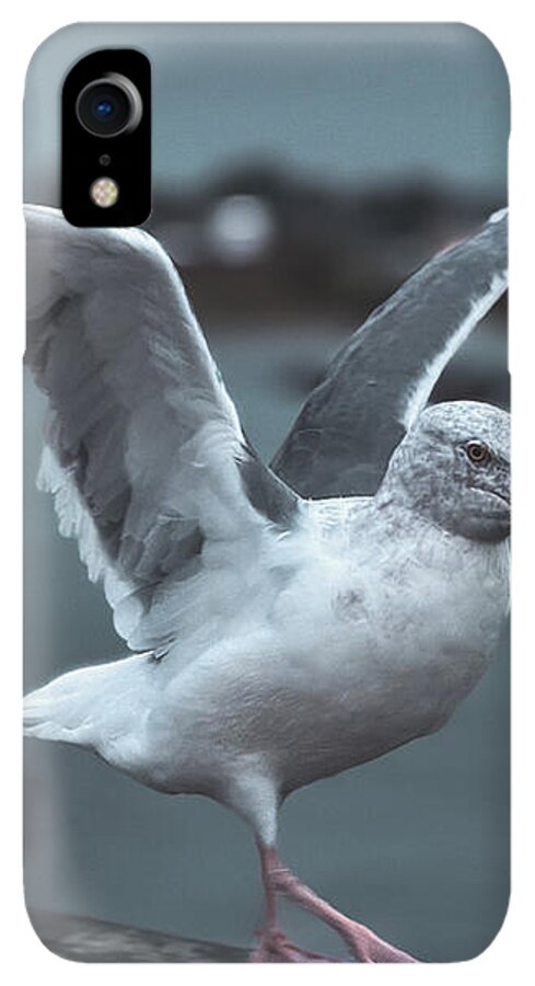 Seagull on a Seaside Rail - Phone Case