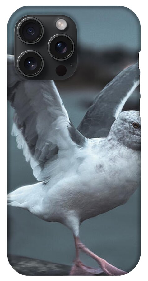 Seagull on a Seaside Rail - Phone Case