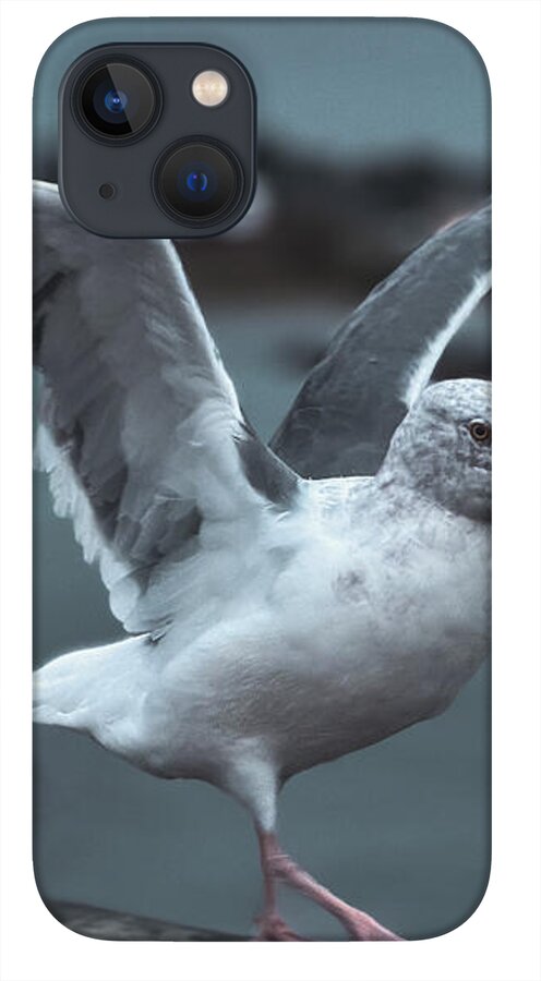 Seagull on a Seaside Rail - Phone Case