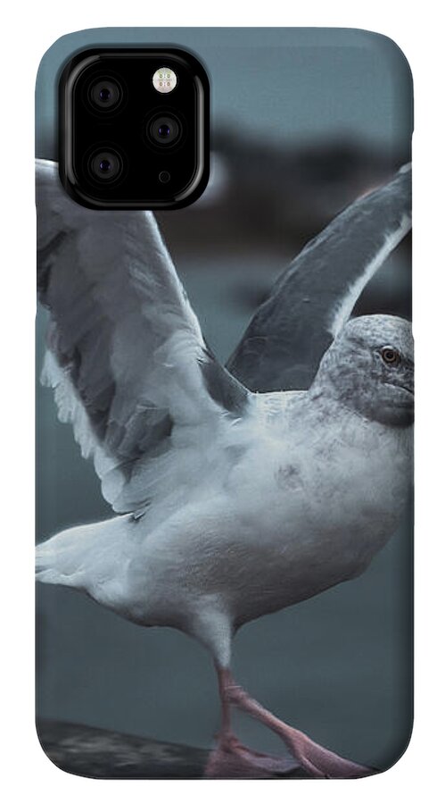 Seagull on a Seaside Rail - Phone Case