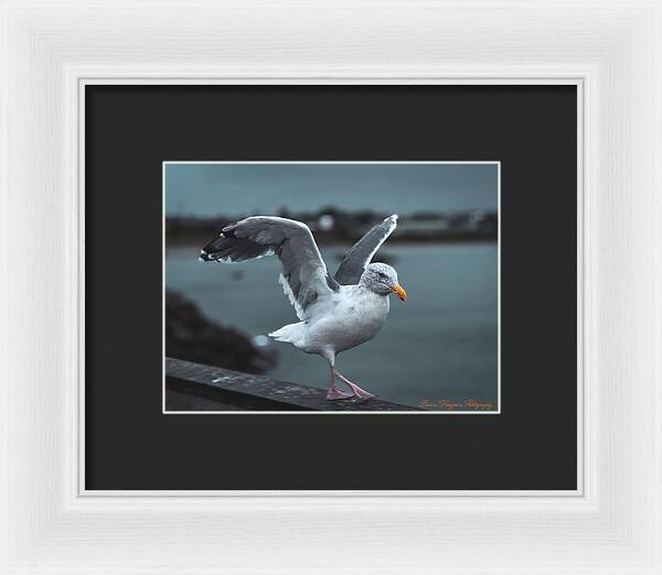 Seagull on a Seaside Rail - Framed Print
