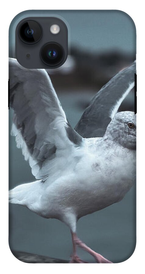Seagull on a Seaside Rail - Phone Case