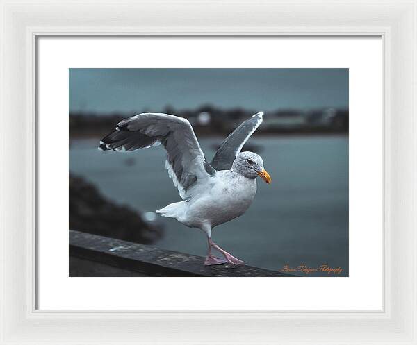 Seagull on a Seaside Rail - Framed Print