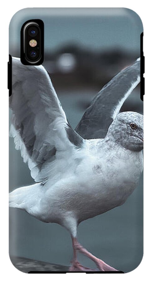 Seagull on a Seaside Rail - Phone Case