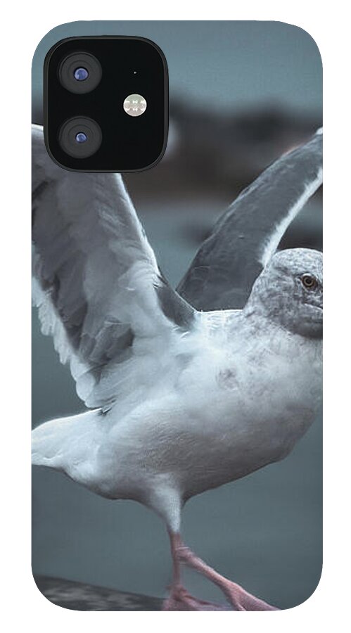 Seagull on a Seaside Rail - Phone Case