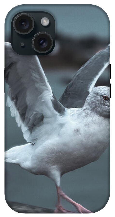 Seagull on a Seaside Rail - Phone Case