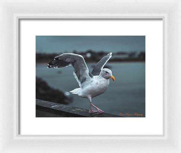 Seagull on a Seaside Rail - Framed Print