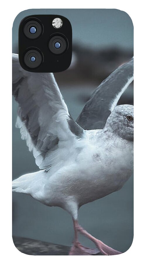 Seagull on a Seaside Rail - Phone Case