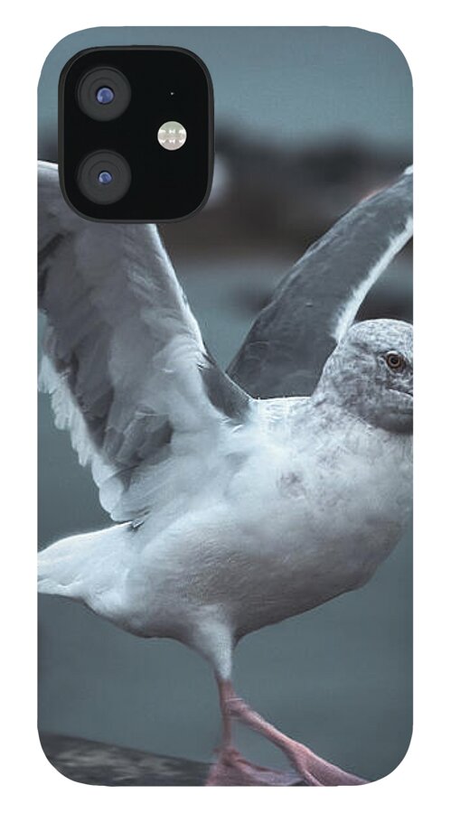 Seagull on a Seaside Rail - Phone Case