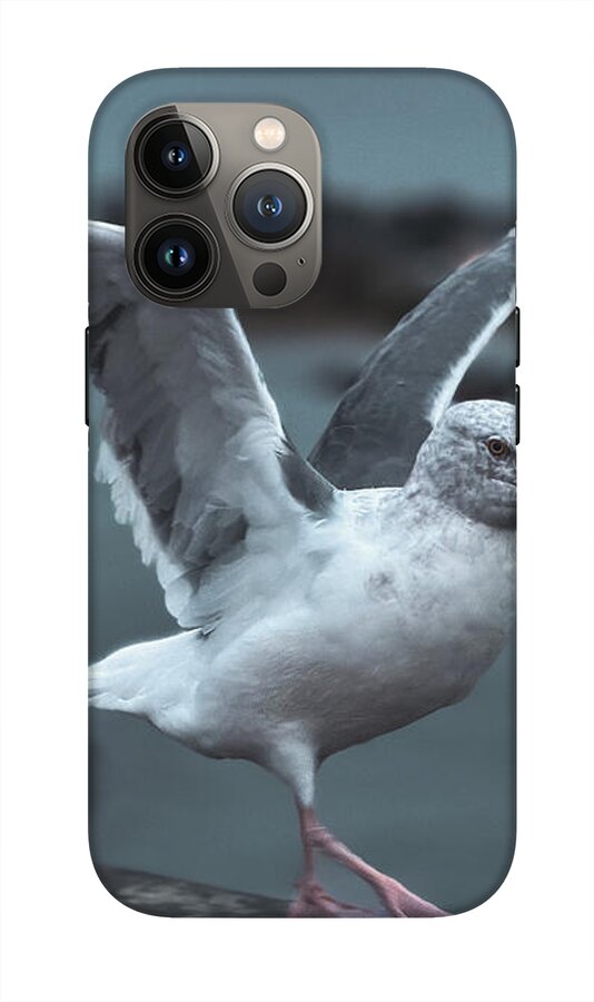 Seagull on a Seaside Rail - Phone Case