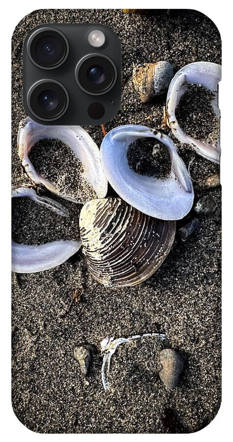 Seashells 6 - Phone Case