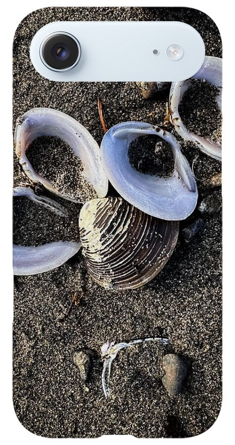 Seashells 6 - Phone Case