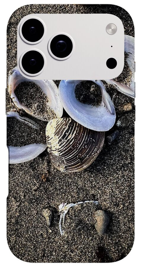Seashells 6 - Phone Case