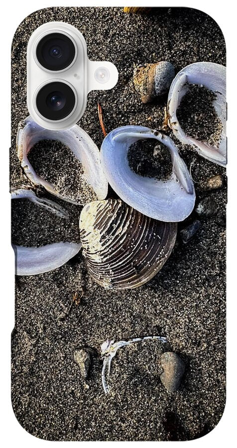 Seashells 6 - Phone Case