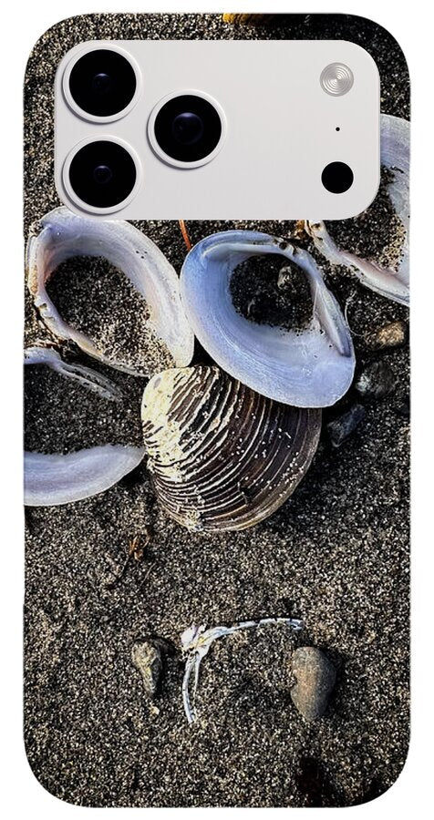 Seashells 6 - Phone Case