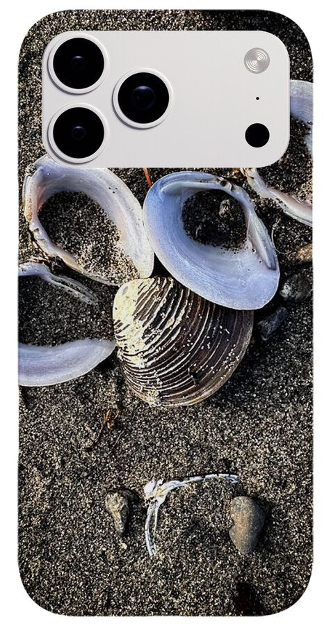 Seashells 6 - Phone Case