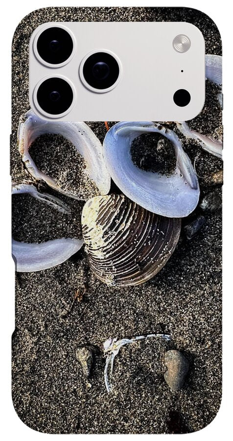 Seashells 6 - Phone Case