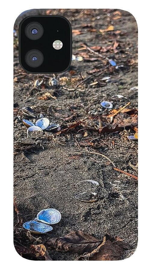 Seashells on the shoreline - Phone Case