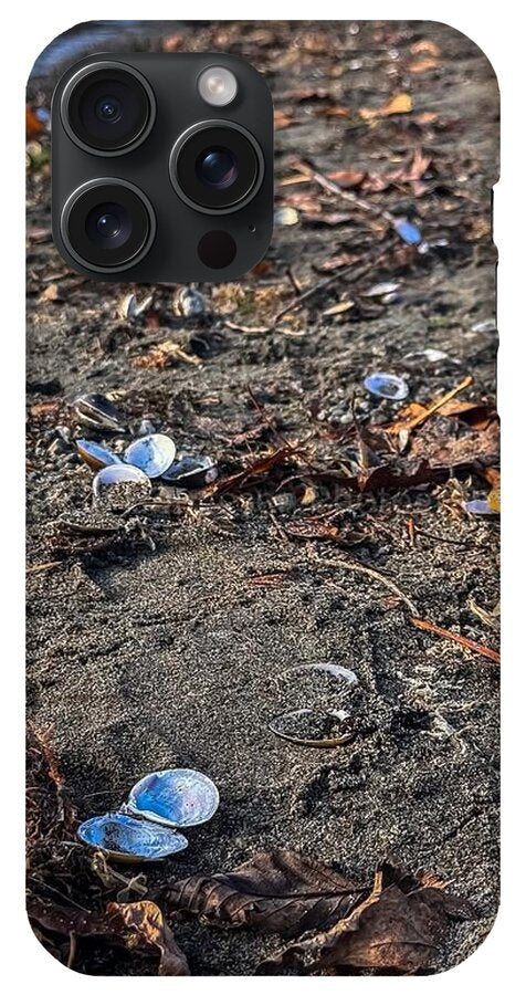 Seashells on the shoreline - Phone Case