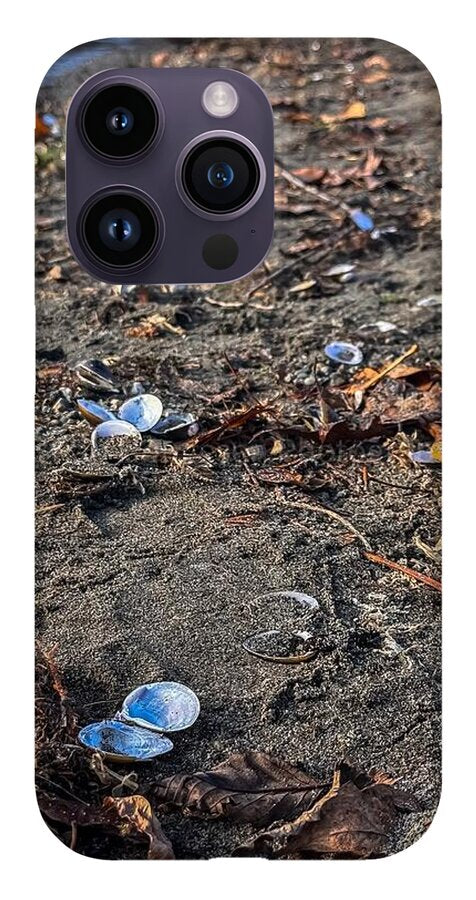 Seashells on the shoreline - Phone Case