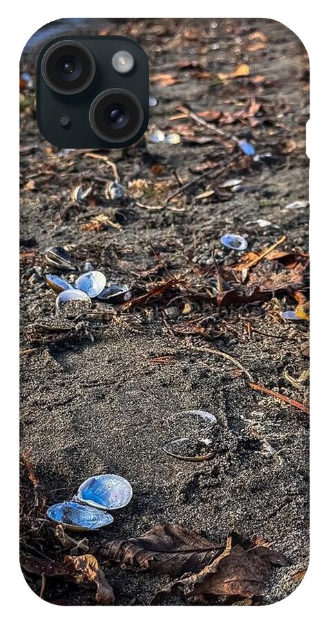 Seashells on the shoreline - Phone Case