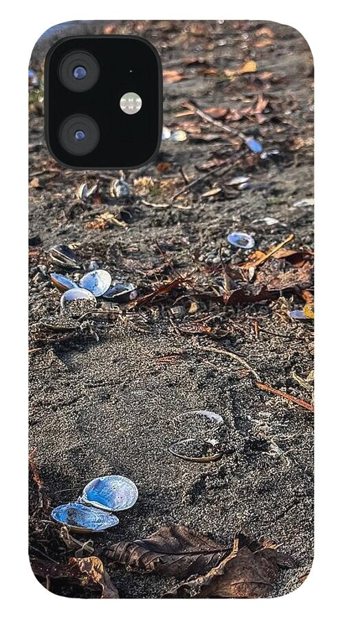 Seashells on the shoreline - Phone Case