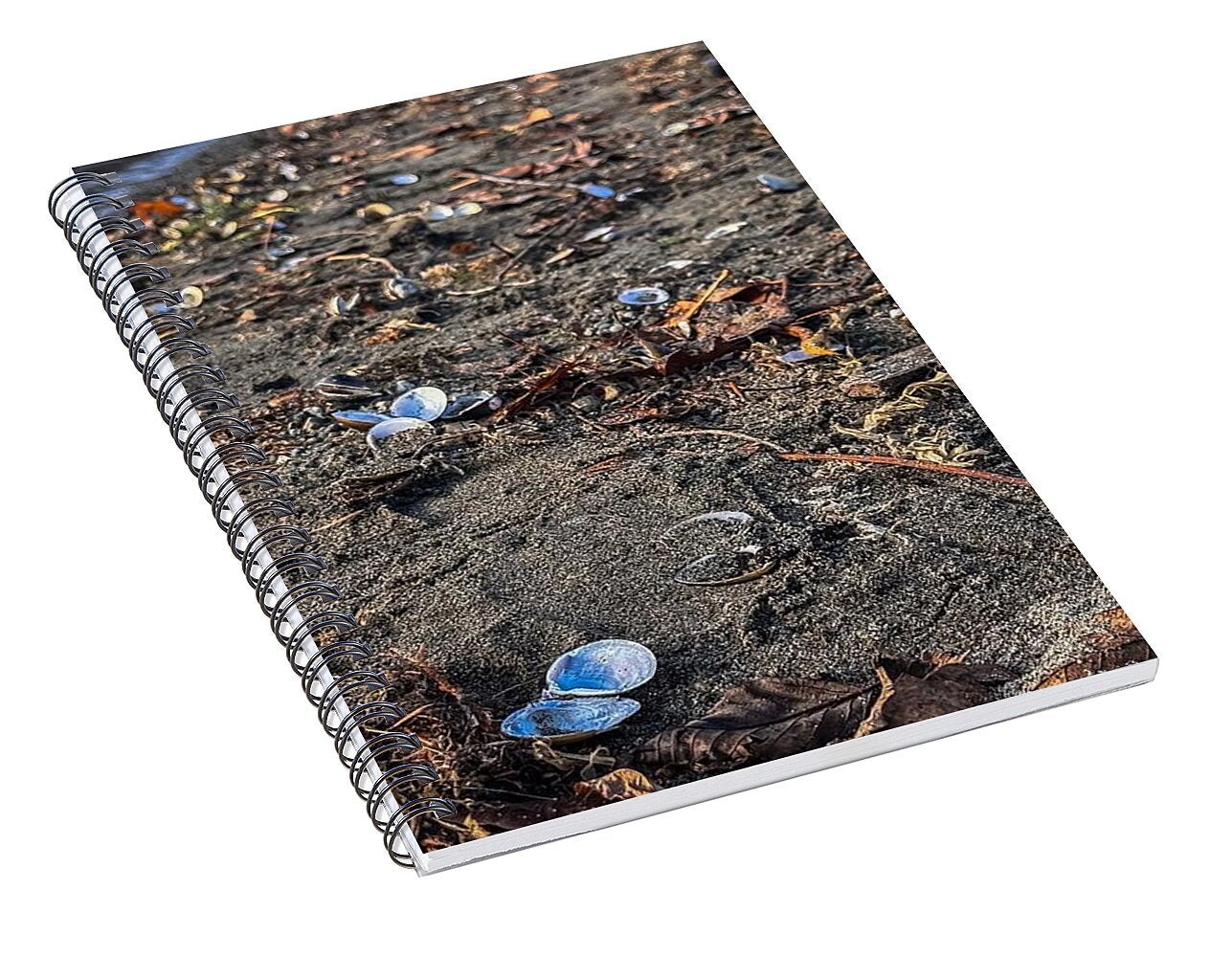 Seashells on the shoreline - Spiral Notebook