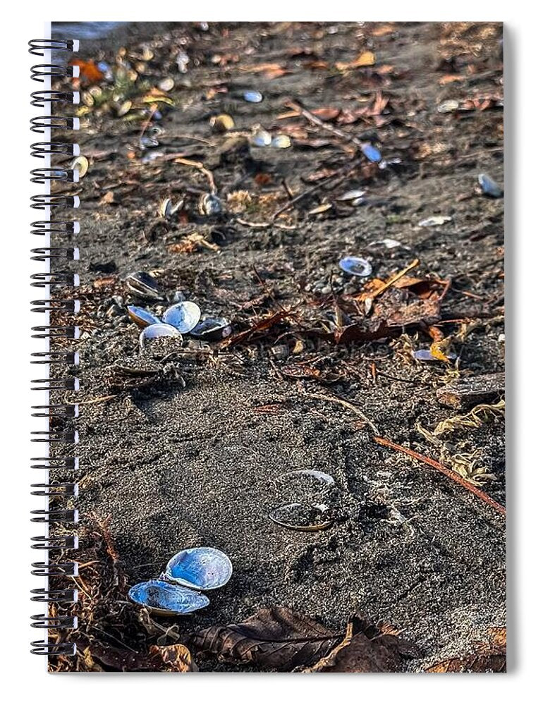 Seashells on the shoreline - Spiral Notebook