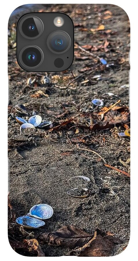 Seashells on the shoreline - Phone Case