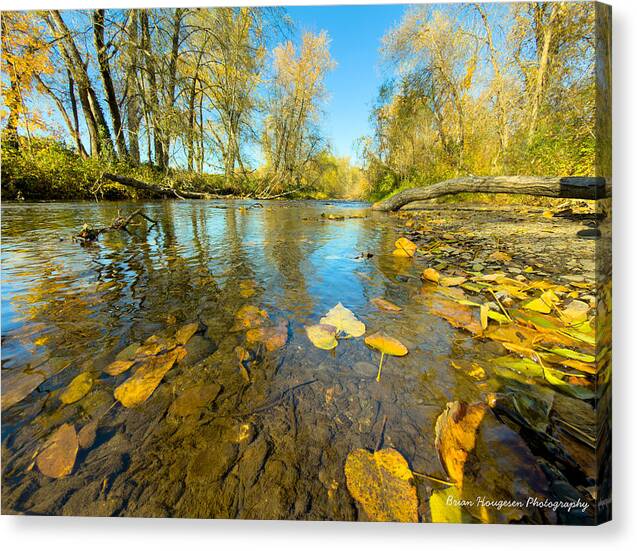 Serene Autumn Creek Landscape - Canvas Print