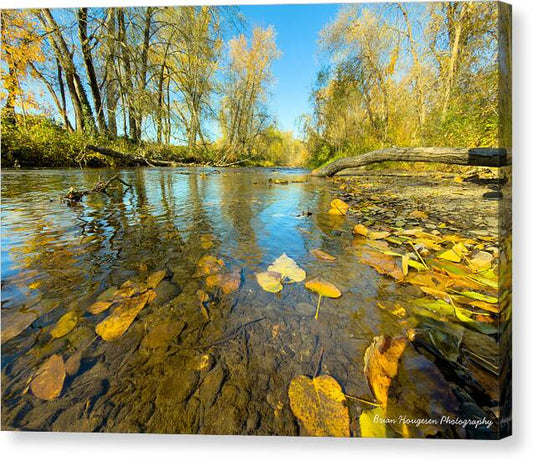 Serene Autumn Creek Landscape - Canvas Print