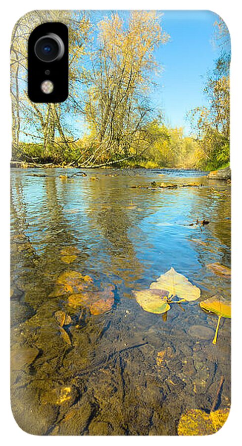 Serene Autumn Creek Landscape - Phone Case