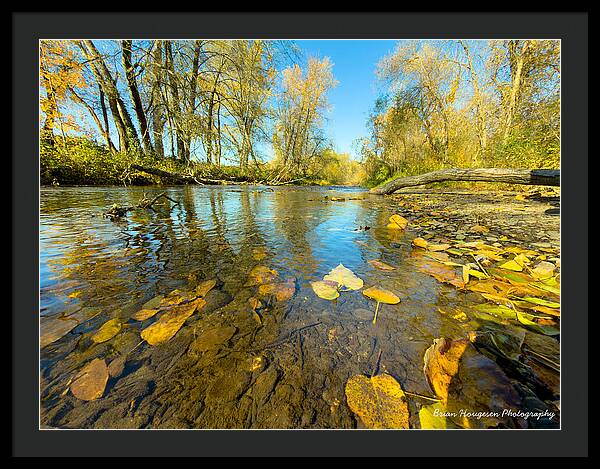 Serene Autumn Creek Landscape - Framed Print