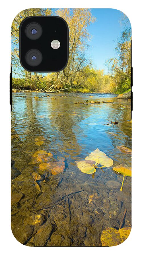 Serene Autumn Creek Landscape - Phone Case