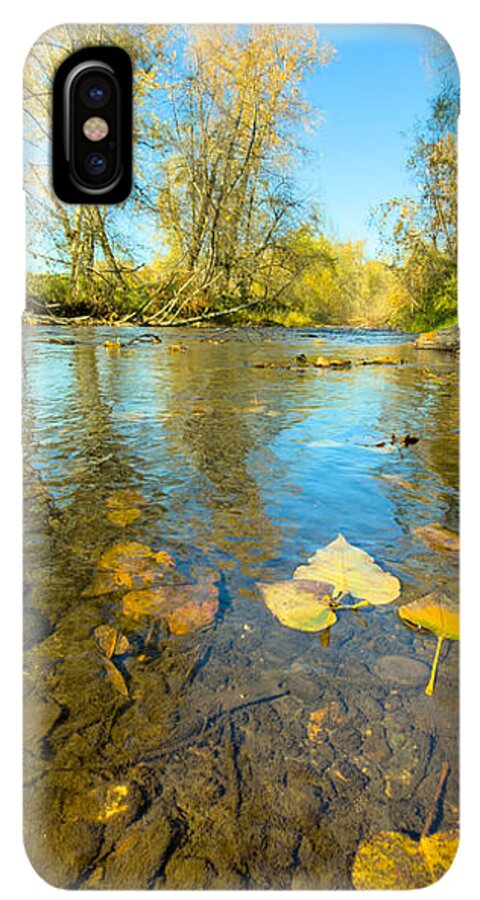 Serene Autumn Creek Landscape - Phone Case