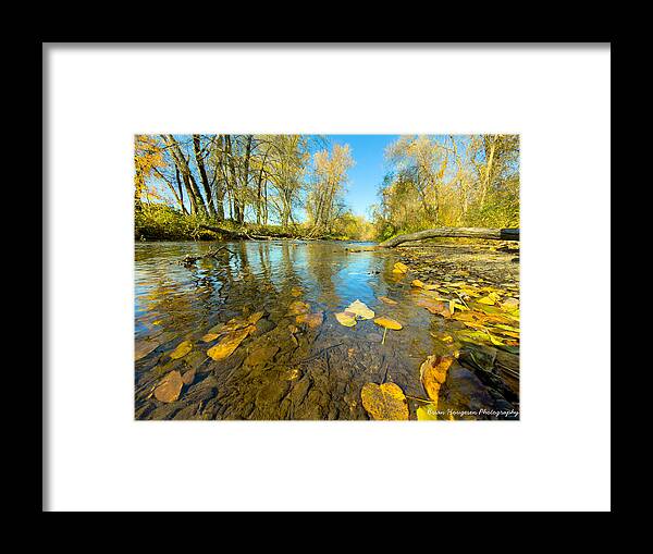 Serene Autumn Creek Landscape - Framed Print