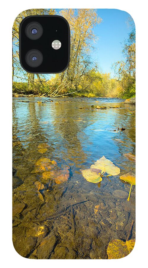 Serene Autumn Creek Landscape - Phone Case