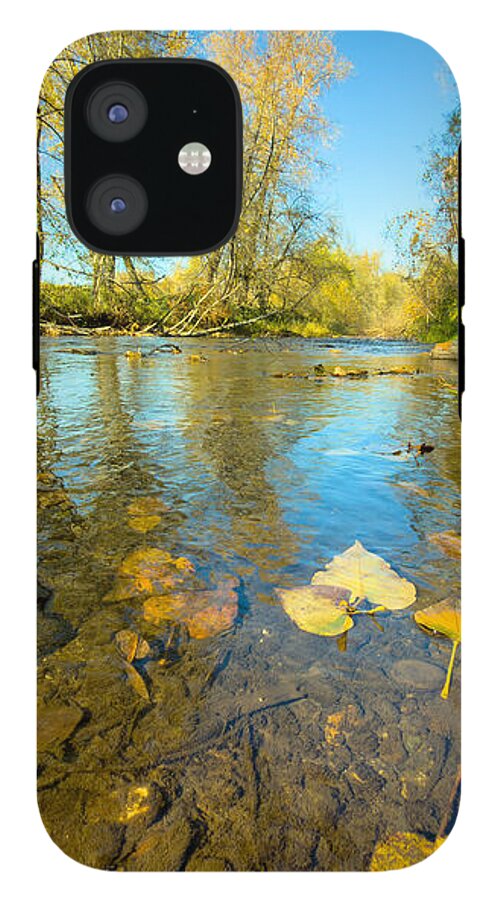 Serene Autumn Creek Landscape - Phone Case