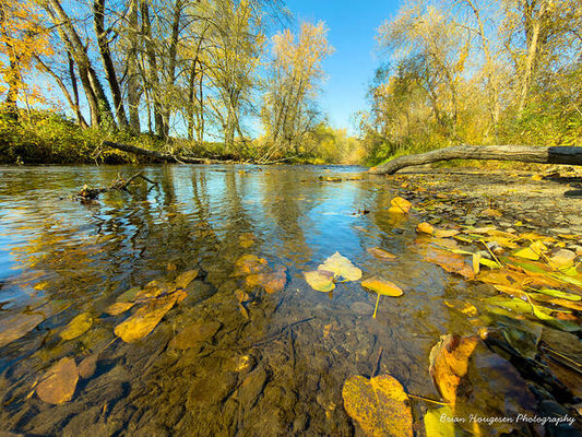 Serene Autumn Creek Landscape - Art Print