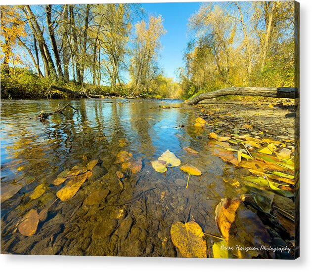 Serene Autumn Creek Landscape - Acrylic Print