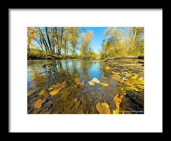 Serene Autumn Creek Landscape - Framed Print