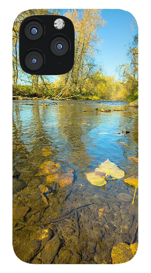 Serene Autumn Creek Landscape - Phone Case