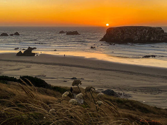 Sunset 4 - Art Print