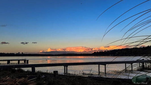 Sunset at the lake - Art Print