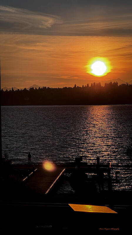 Sunset lake Washington - Art Print