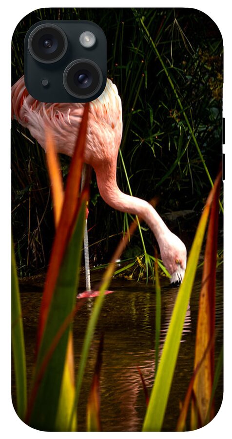 Taking a drink - Phone Case