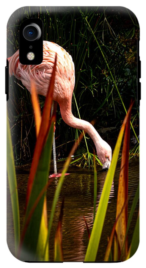 Taking a drink - Phone Case