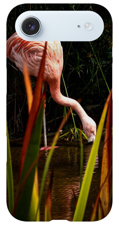 Taking a drink - Phone Case